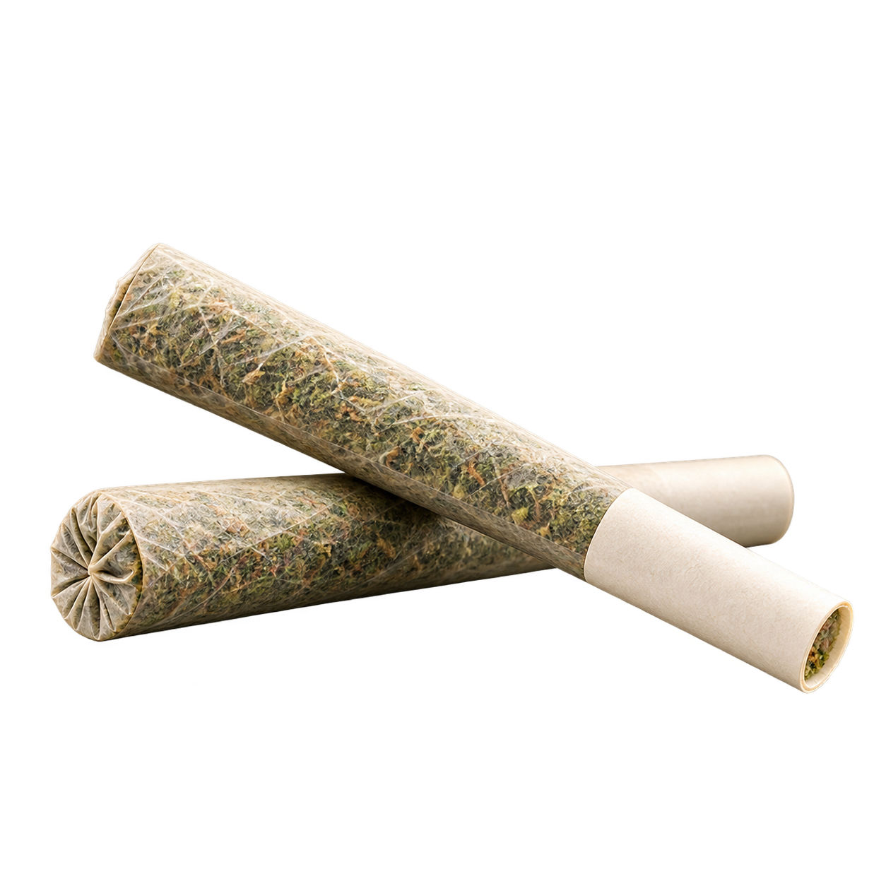 Two pre-rolled cones packed with ground flower